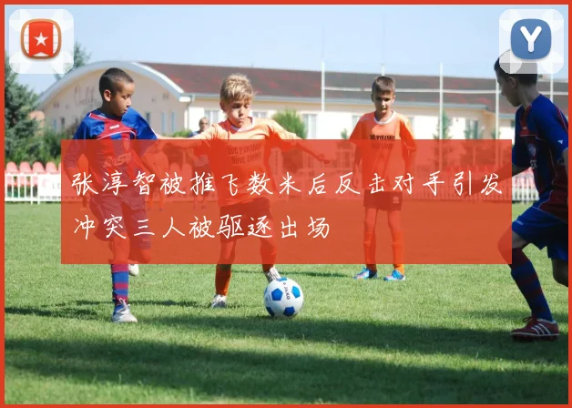 张淳智被推飞数米后反击对手引发冲突三人被驱逐出场